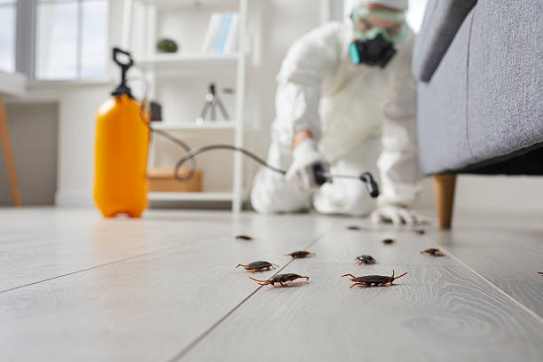 Post-Treatment Bed Bug Interceptor Monitoring in Grant