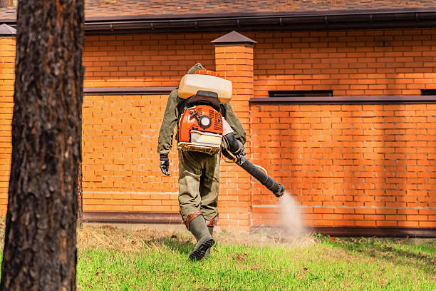 Bed Bug Clearance Verification and Documentation in Grant
